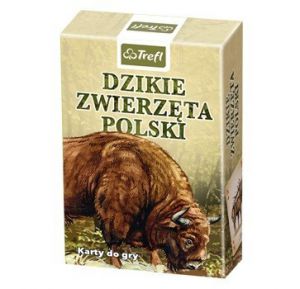 Karty Dzikie zwierzęta Polski