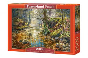 Puzzle 2000 elementów Wspomnienie z jesiennego lasu
