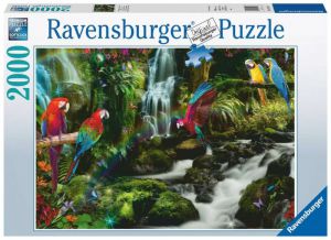 Puzzle 2000 elementów Papugi w dżungli