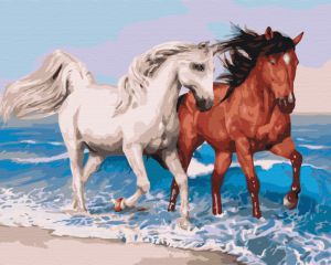 Obraz Paint it! Malowanie po numerach - Konie na wybrzeżu