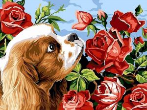 Obraz Malowanie po numerach - Pies z różami