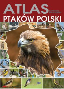 Atlas ilustrowana encyklopedia ptaków polski wyd. 2014