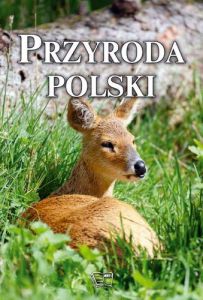 Przyroda polski
