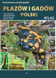 Ilustrowana encyklopedia płazów i gadów polski atlas