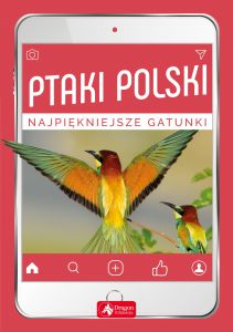 Ptaki polski najpiękniejsze gatunki