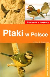 Ptaki w Polsce spotkania z przyrodą