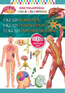 Układ nerwowy układ endokrynny i układ odpornościowy encyklopedia ciała człowieka