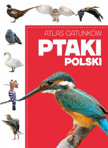 Ptaki polski atlas gatunków